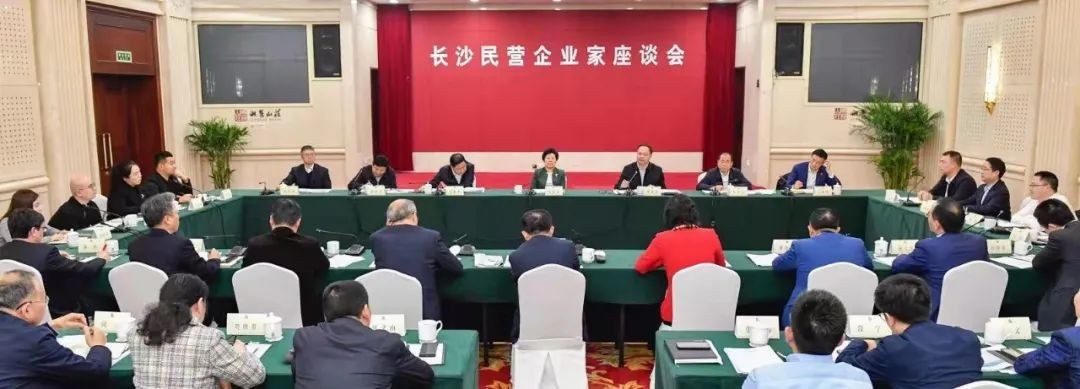 何清华加入长沙民营企业家座谈会